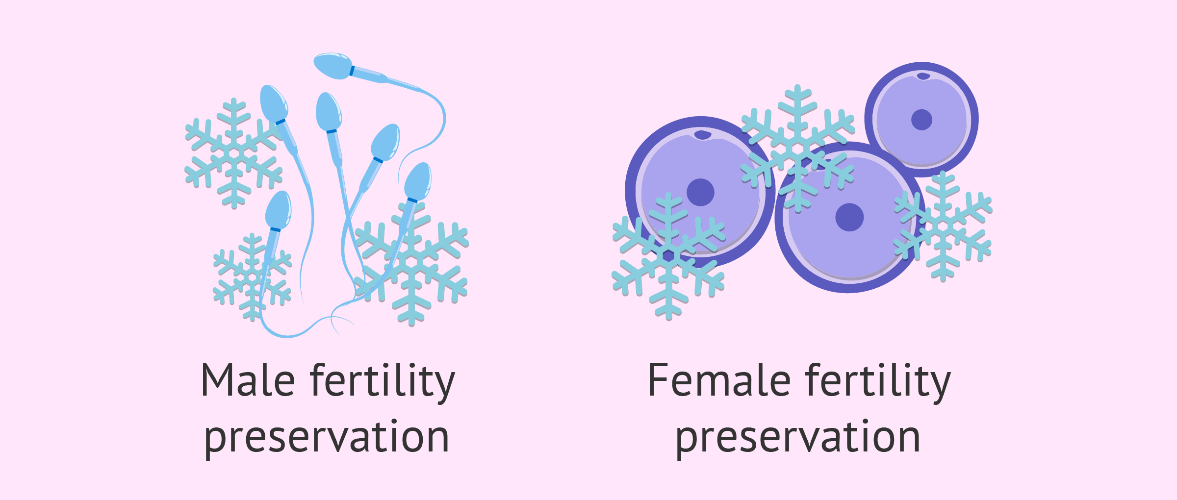 Fertility Preservation